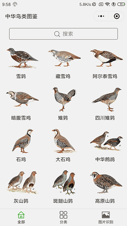 中华鸟类图鉴截图1