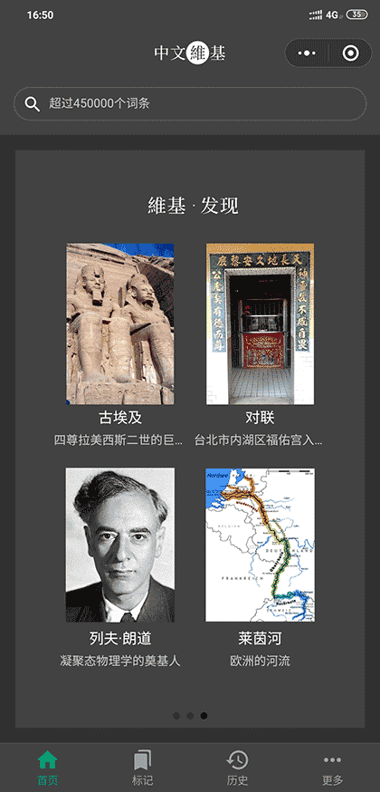 中文维基截图1