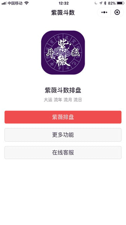 紫薇斗数排盘截图1